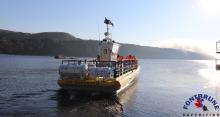 Baleine Tadoussac